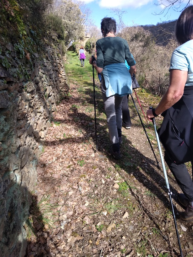 Image de nordique_1710784154.jpg