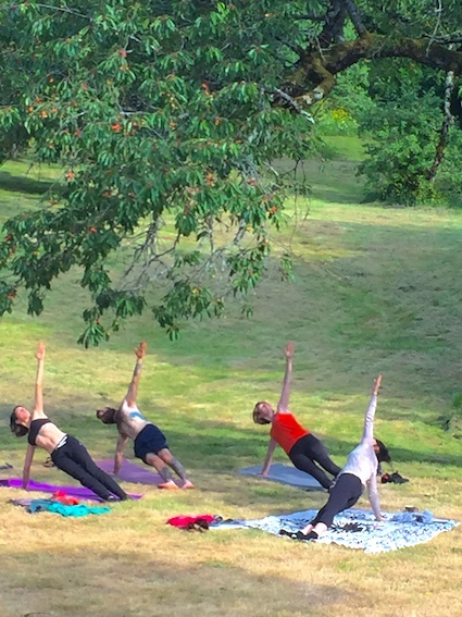Image de yoga_1599984177.jpg